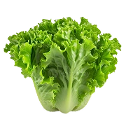 Rau lá