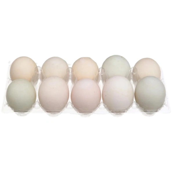 Trứng vịt hộp 10 quả size lớn