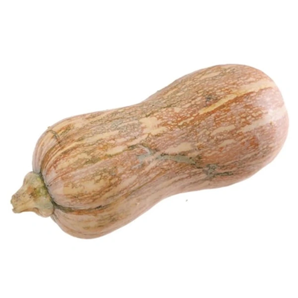Bí đỏ hồ lô (trái nhỏ)