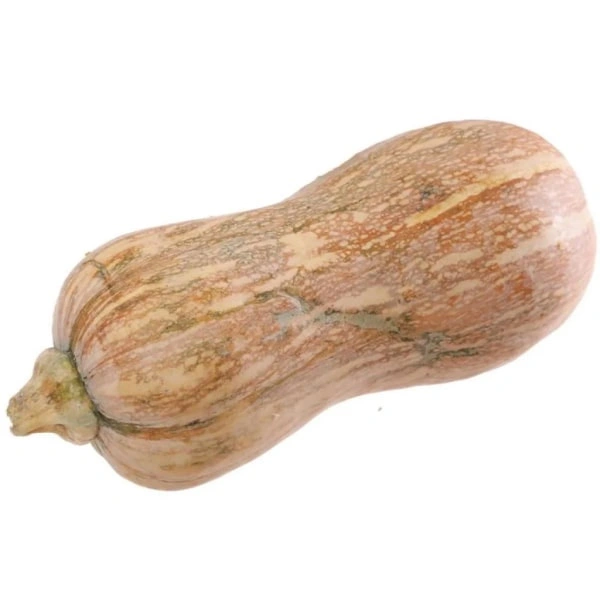 Bí đỏ hồ lô (1 trái)