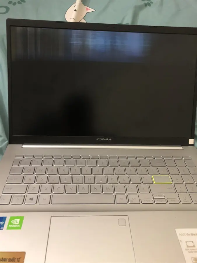 Khách hàng review Laptop Asus VivoBook A515EP i5 1135G7/8GB/512GB/2GB MX330/Win10 (BQ194T) 1