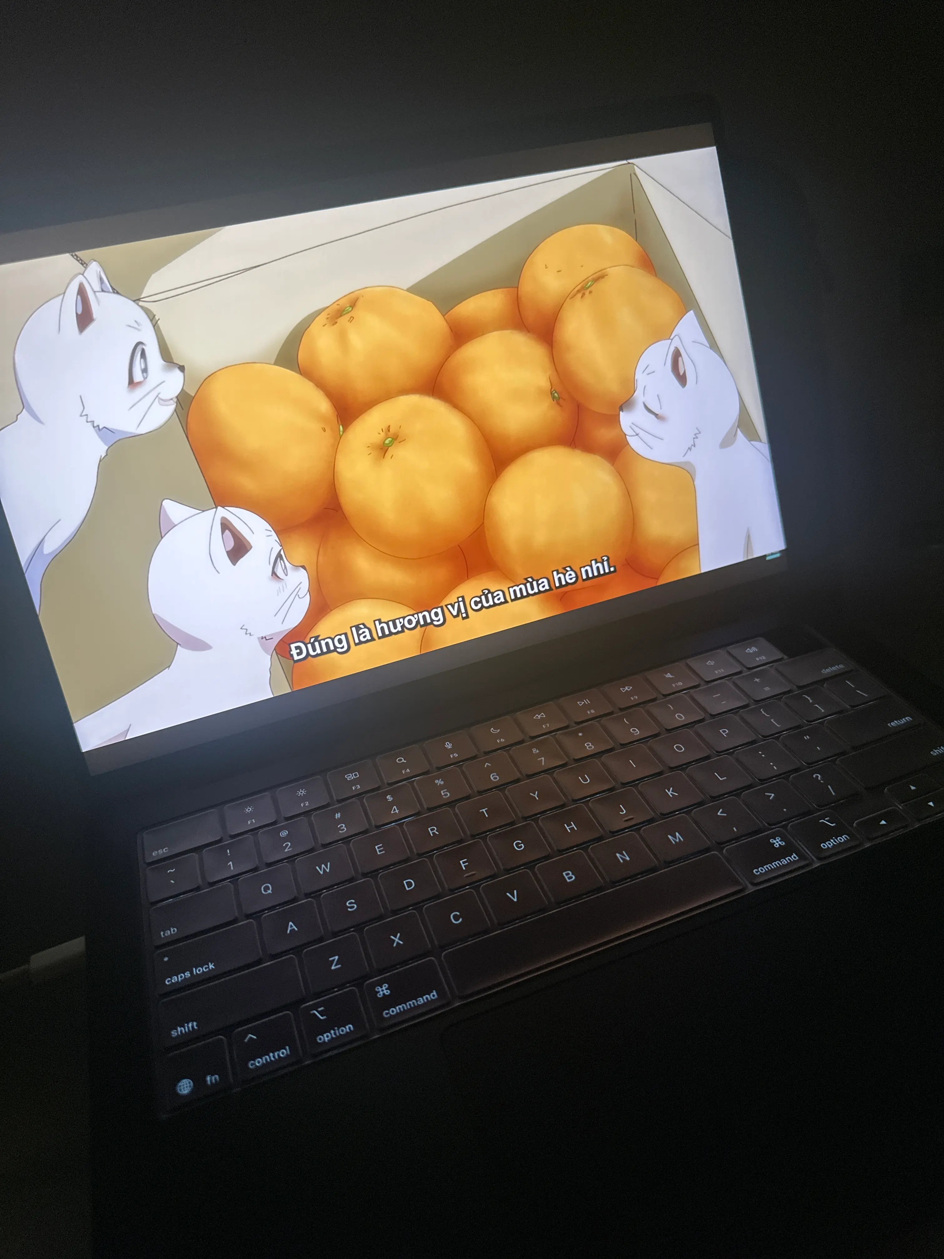Khách hàng review MacBook Pro 14 inch M5 16GB/1TB 1