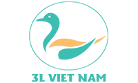 3L