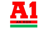 A1