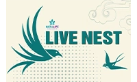 Live Nest chuyên nước yến cao cấp, chính hãng