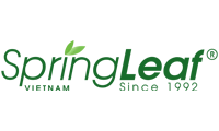 Springleaf