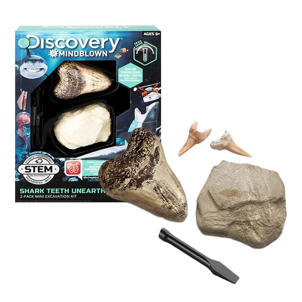 Bộ đồ chơi khảo cổ truy tìm răng cá mập Discovery 1423004791 1