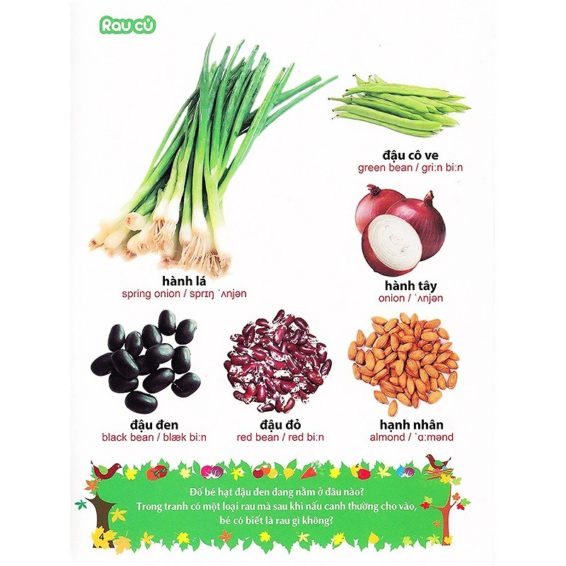Từ điển tranh Minh Long - chủ đề rau, củ, quả, hoa 3
