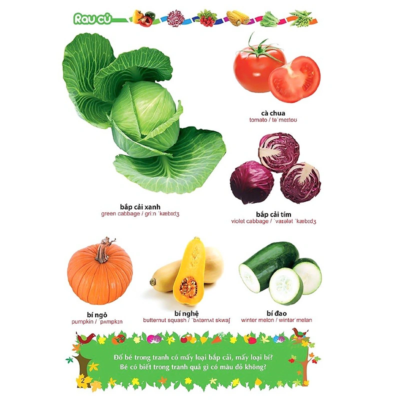 Từ điển tranh Minh Long - chủ đề rau, củ, quả, hoa 4