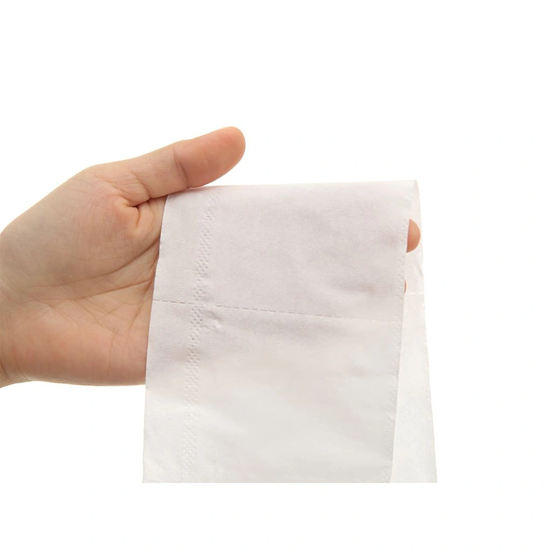 Lốc 10 cuộn giấy vệ sinh Puri không mùi 3 lớp 5