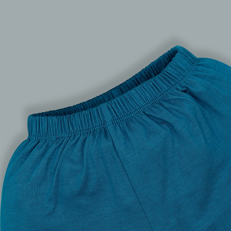 Bộ tay ngắn bé trai IQ Baby raplan in gấu màu xanh 9