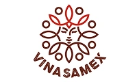 vinasamex