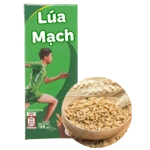 Sữa lúa mạch