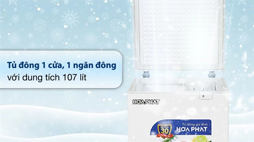 Bạn có thể mua tủ 1 ngăn đông nếu không cần bảo quản quá nhiều thực phẩm Bạn có thể mua tủ 1 ngăn đông nếu không cần bảo quản quá nhiều thực phẩm