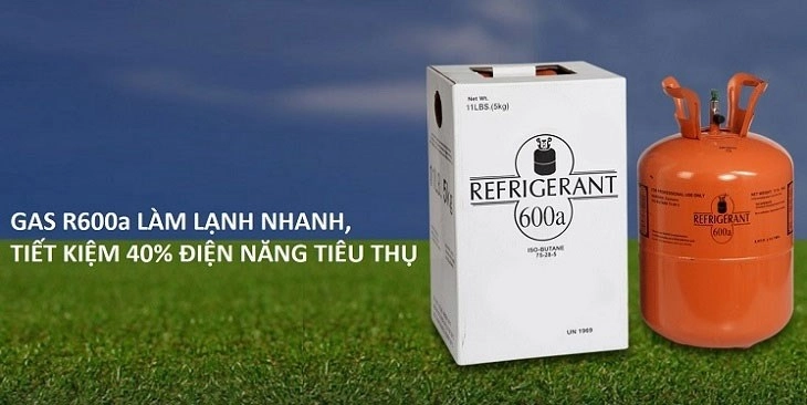 Tủ đông Alaska sử dụng loại gas R600a, có khả năng làm lạnh nhanh và thân thiện với môi trường Tủ đông Alaska sử dụng loại gas R600a, có khả năng làm lạnh nhanh