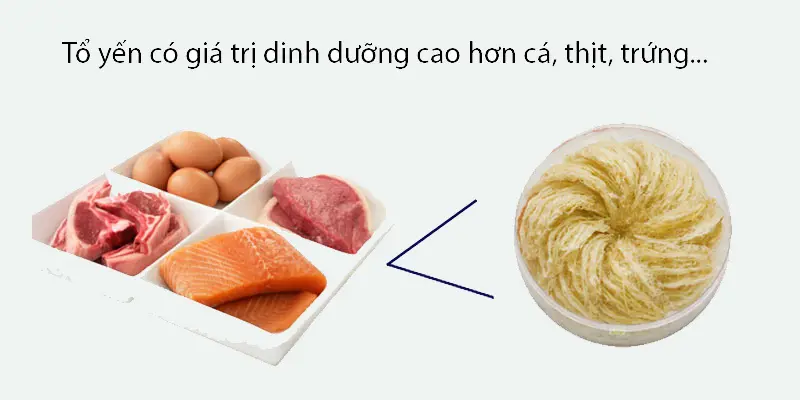 Yến sào là nguồn dinh dưỡng dồi dào và quý già cho trẻ nhỏ