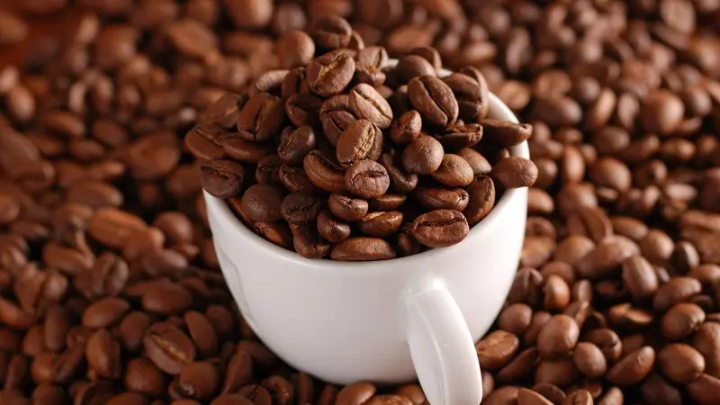 Loại hạt cà phê nào ngon nhất hiện nay?