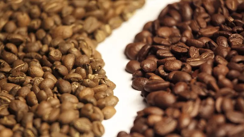 Sự phối trộn giữa cafe arabica và robusta