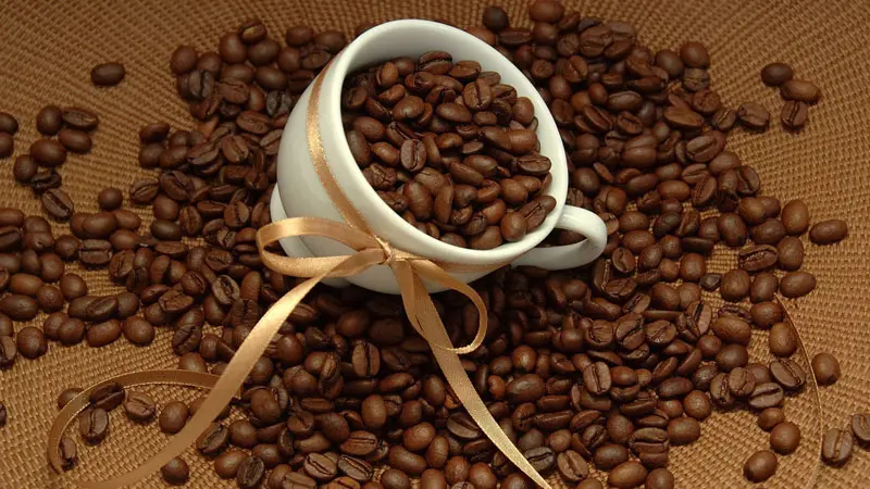 Cafe Arabica có mùi thơm, hạt dài và to