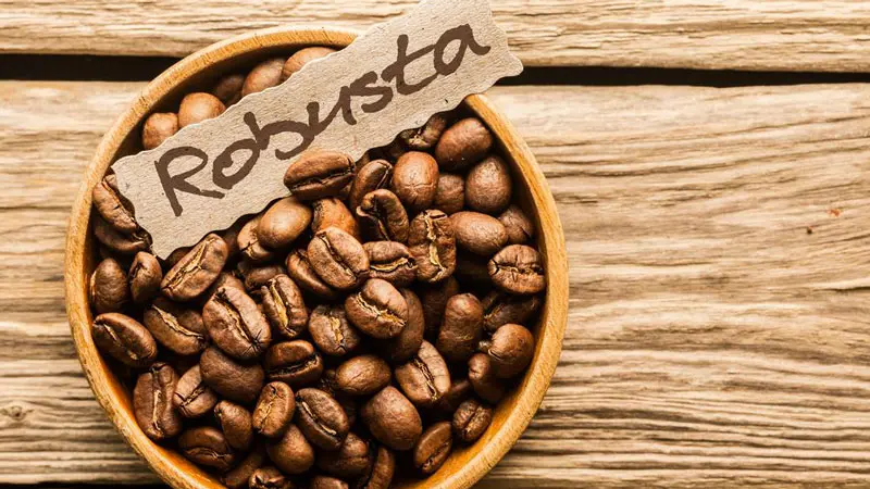Cafe Robusta có vị gắt hơn, hạt tròn hơn và nhỏ hơn hạt cà phê Arabica