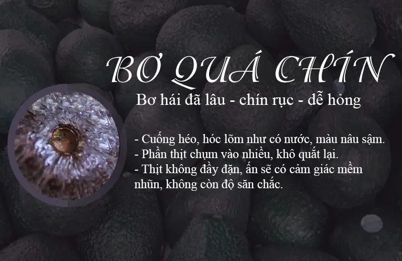 Bơ đã chín lâu ngày không còn ngon