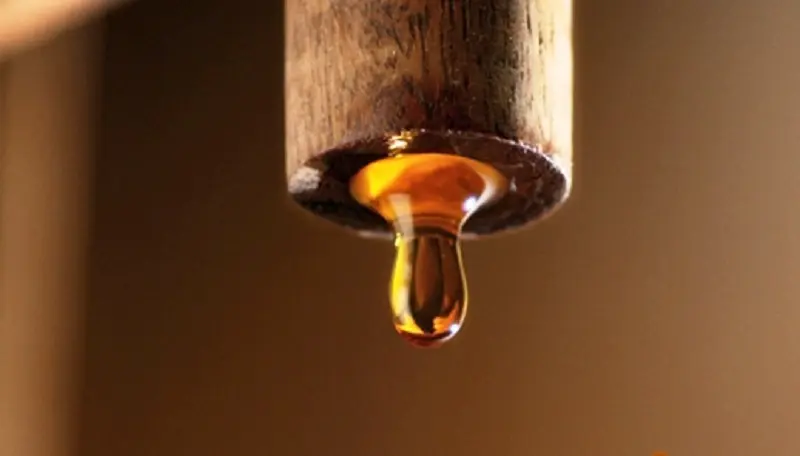 nước mắm từ có màu vàng chuyển sang màu sẫm hơn thì nước mắm này được ủ theo phương pháp truyền thống