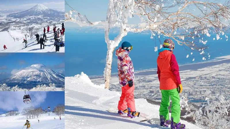 Du lịch Nhật Bản vào mùa đông là lúc bạn có thể thoải mái vui đùa với làn tuyết trắng