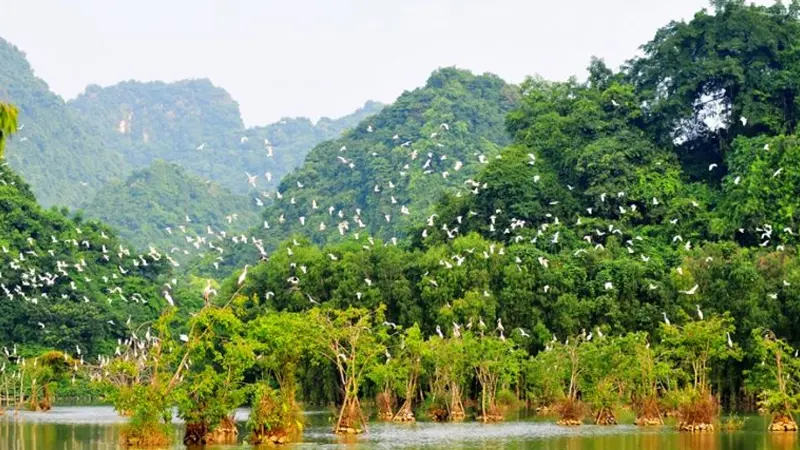 Khu bảo tồn chim Thung Nham