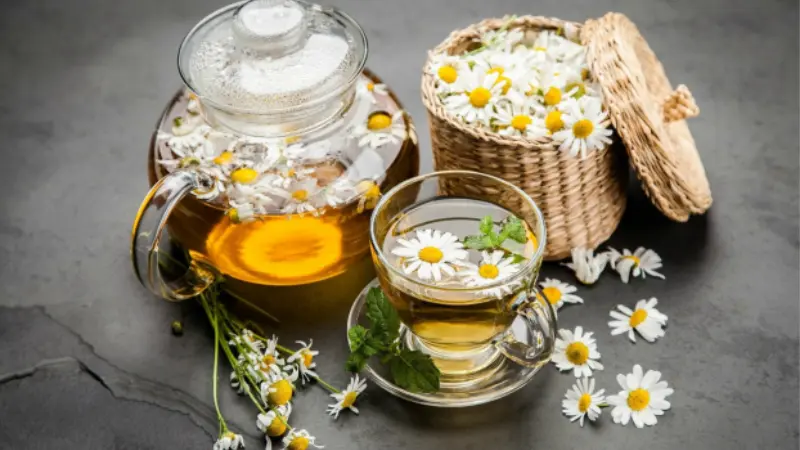 Hoa cúc trắng được dùng trong các bài thuốc để trị một số bệnh