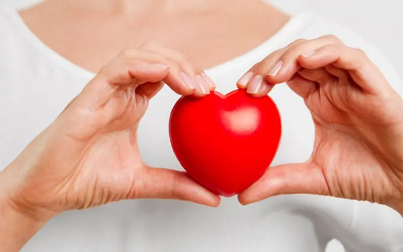 Các lợi ích khác của thảo quả là gì