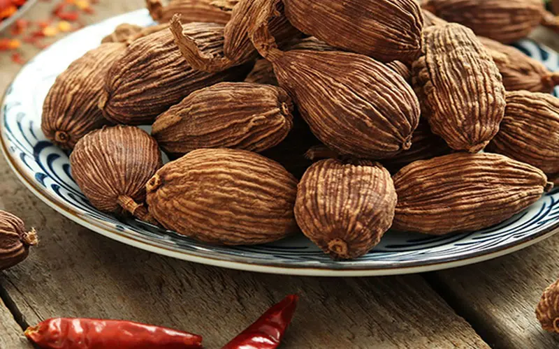Chữa được nhiều loại bệnh