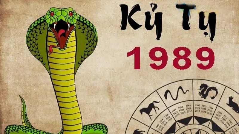Kỷ tỵ sinh năm 1989 hợp màu gì?