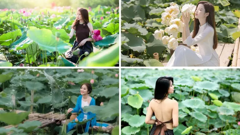 Đầm sen Bát Tràng