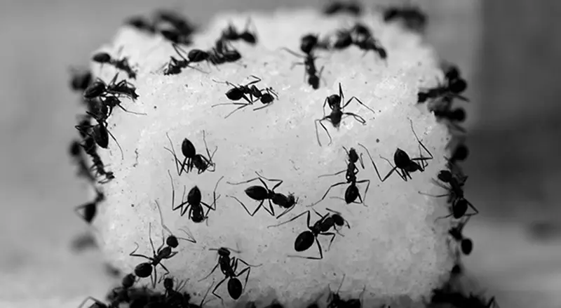 Dấu hiệu đường đã hỏng