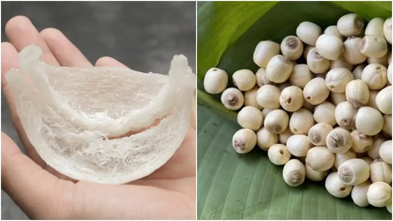 Nguyên liệu chưng tổ yến với đường phèn hạt sen