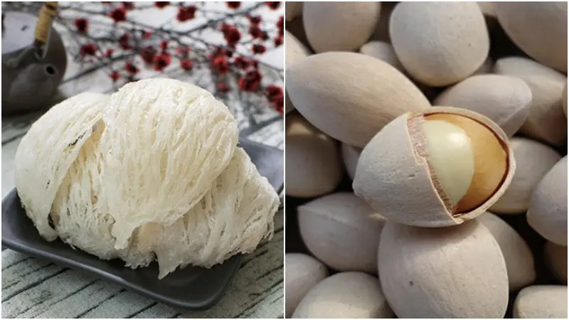 Nguyên liệu chưng tổ yến với thuốc bắc