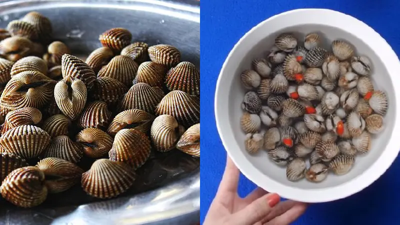 Nguyên liệu làm món sò huyết xào hành sả ớt