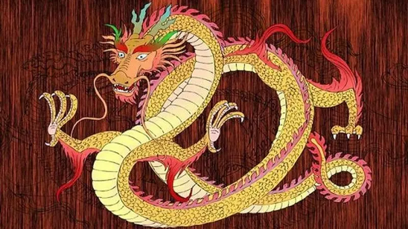 Sinh năm 1988 hợp với số nào?
