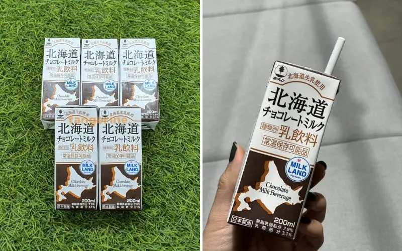 Sữa tươi nguyên kem Hokkaido vị socola