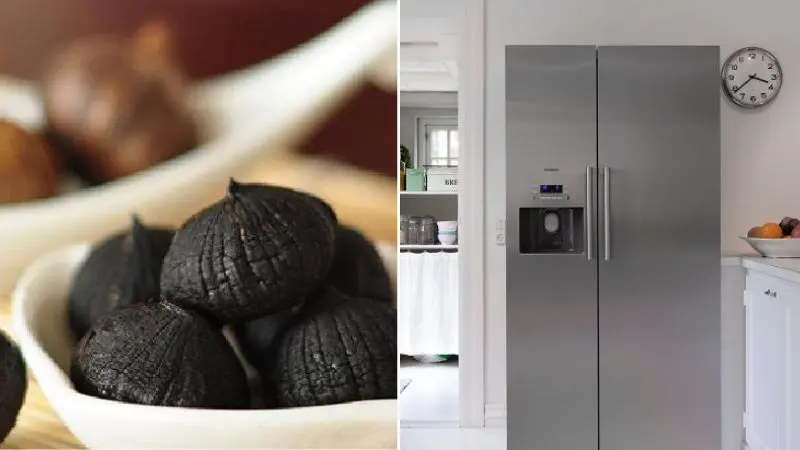 Bảo quản tỏi đen bằng tủ lạnh