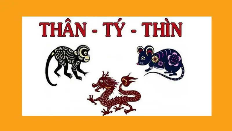 Các câu hỏi liên quan
