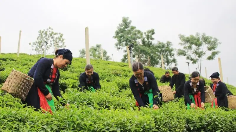 Community cultural tourism village in Dong Tam hamlet, Tuc Tranh commune