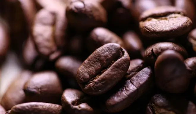Giá cà phê hôm nay 26/06/2024: Giảm 3.000 đồng/kg so với hôm qua