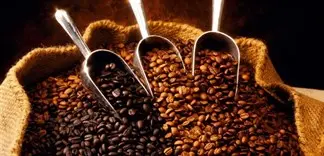 6 loại hạt cà phê phổ biến hiện nay, loại nào ngon nhất?