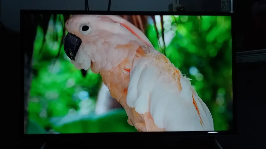 Khách hàng review Smart Tivi TCL 4K 40 inch L40P62-UF 3