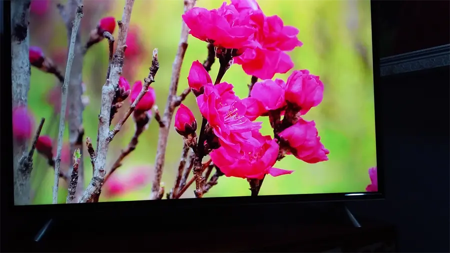 Khách hàng review Smart Tivi TCL 4K 40 inch L40P62-UF 4