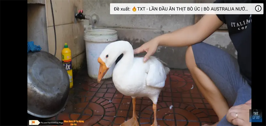 Khách hàng review Điện thoại Xiaomi Redmi Note 6 Pro 32GB 4