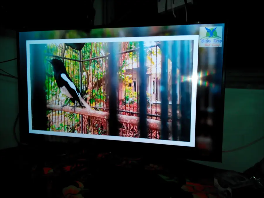 Khách hàng review Smart Tivi Sony 4K 43 inch KD-43X7000F 26