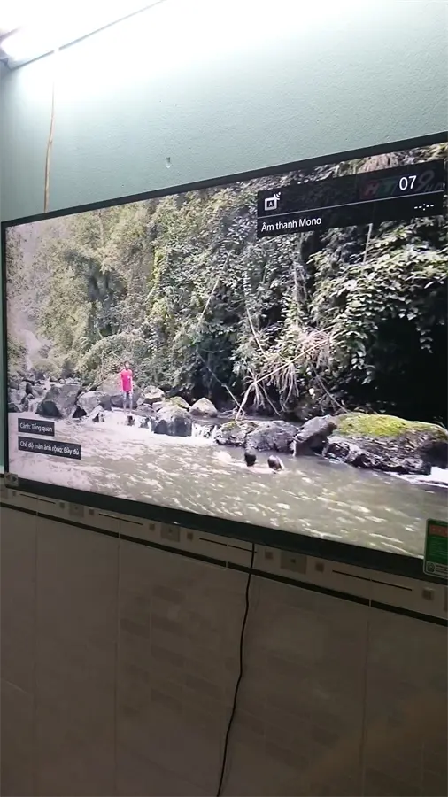 Khách hàng review Smart Tivi Sony 32 inch KDL-32W600D 77