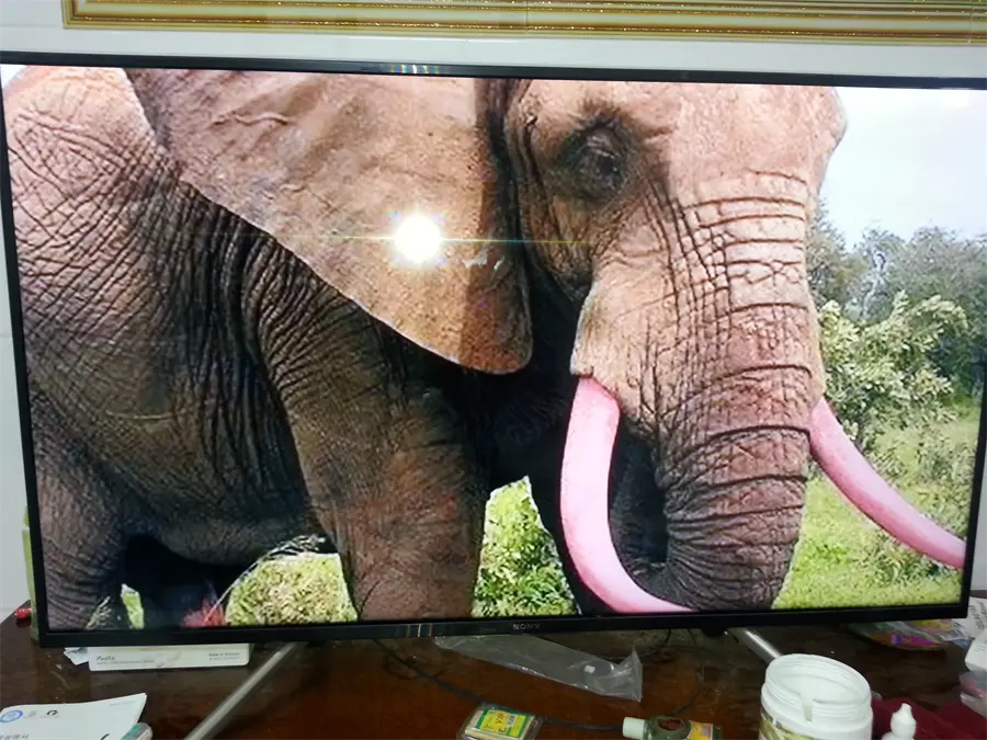 Khách hàng review Android Tivi Sony 49 inch KDL-49W800F 12